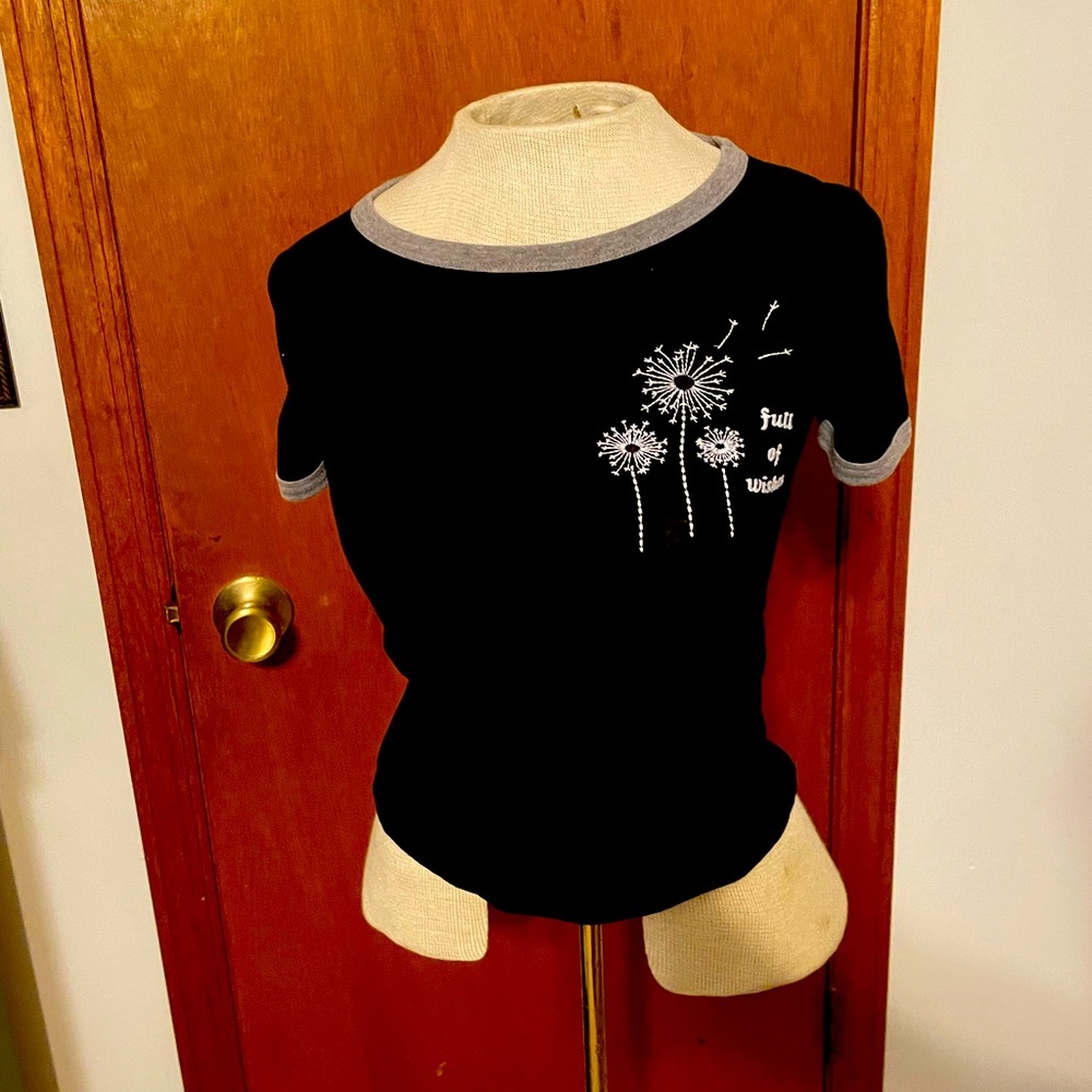 Hollister Cropped Top
